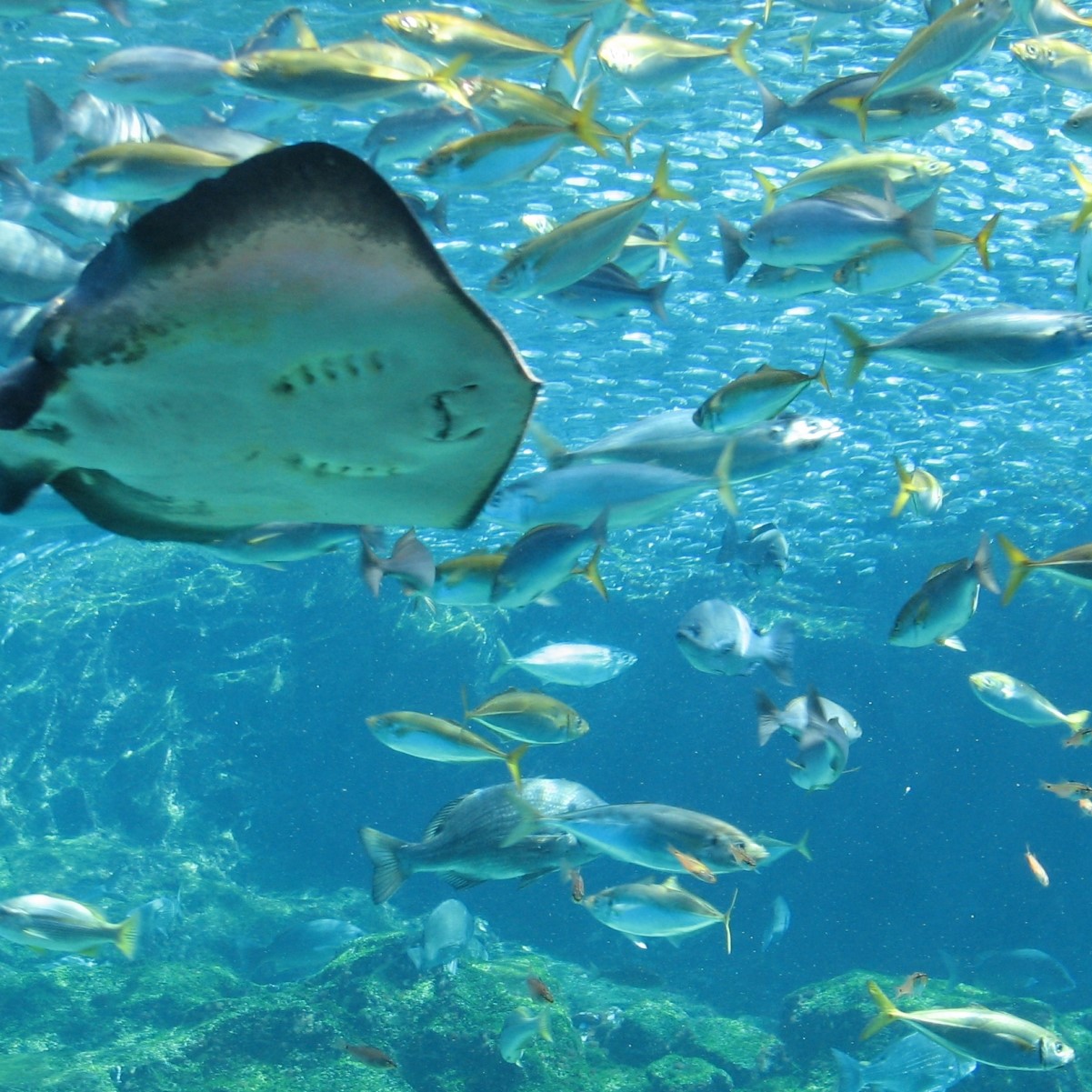 Portal-Japan 日本全国(47都道府県、1790市区町村)の総合ポータルサイト「ポータルジャパン」「ひるなび」「ポータルサイト」「全国版情報ポータルサイト」「hirunabi」 青森県