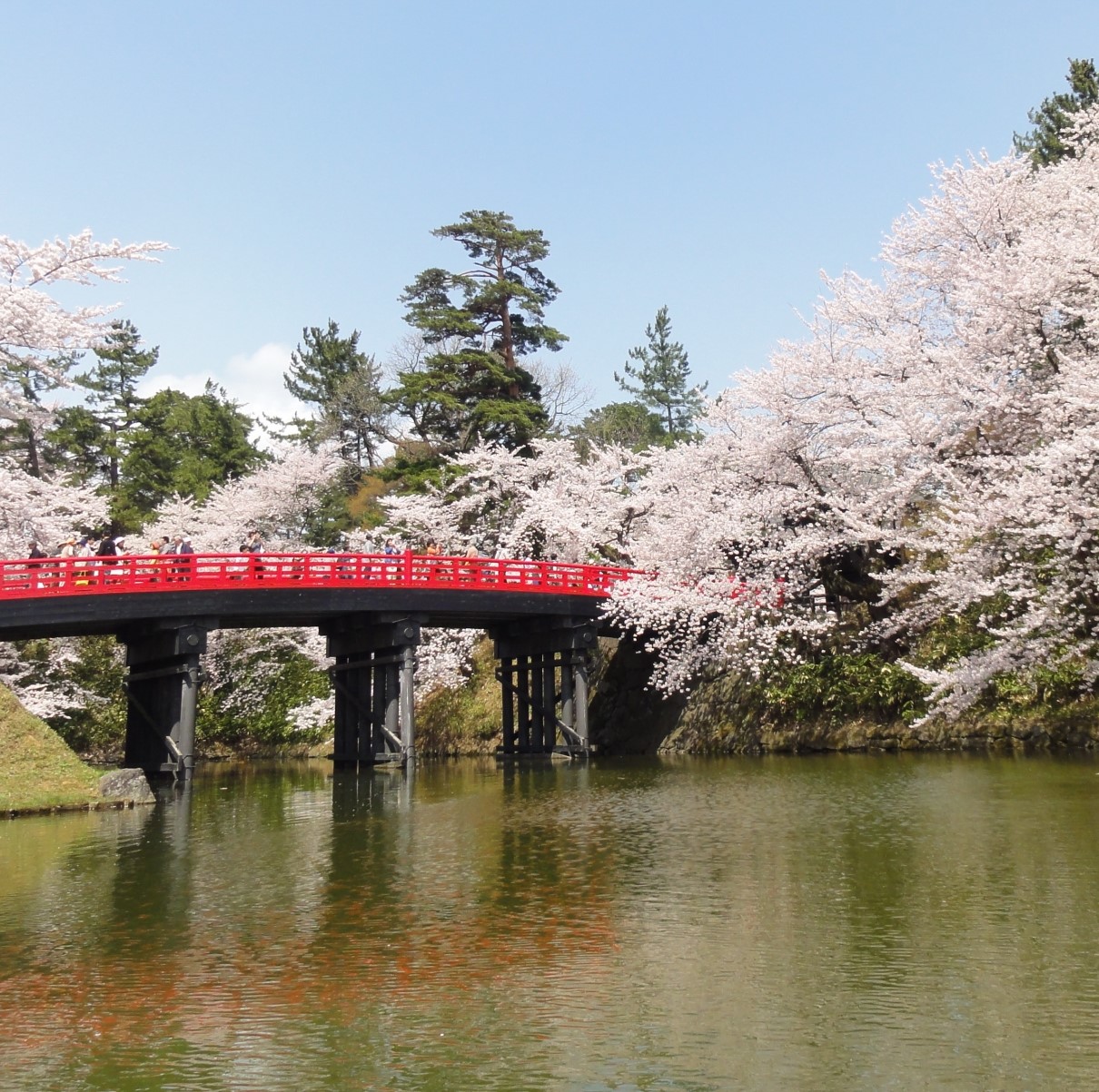 Portal-Japan 日本全国(47都道府県、1790市区町村)の総合ポータルサイト「ポータルジャパン」「ひるなび」「ポータルサイト」「全国版情報ポータルサイト」「hirunabi」 青森県