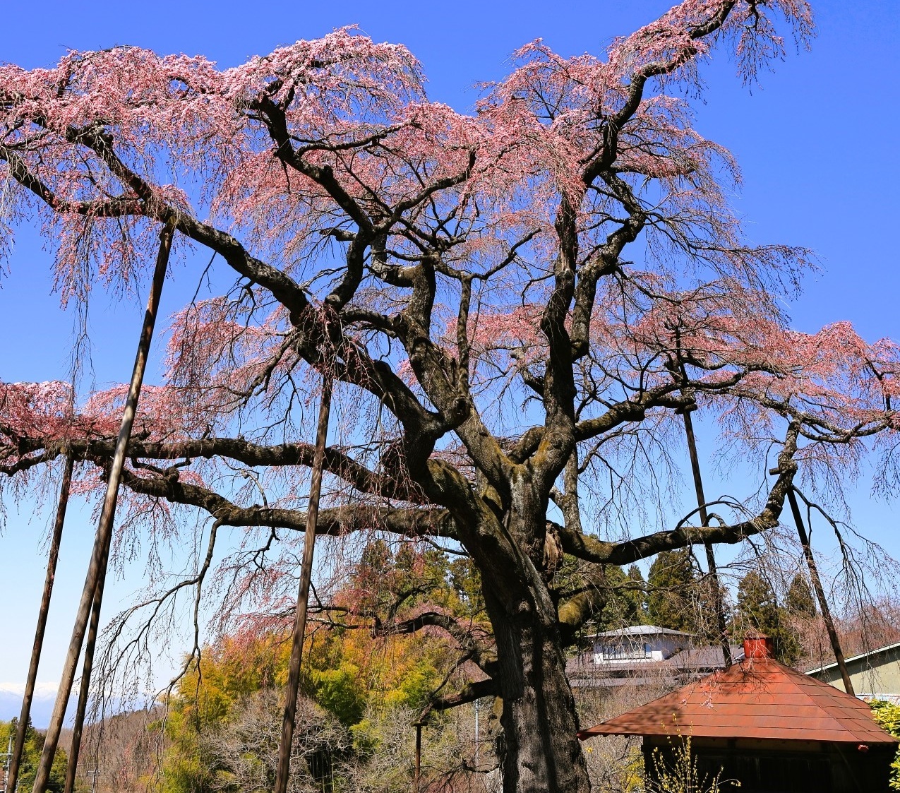 Portal-Japan 日本全国(47都道府県、1790市区町村)の総合ポータルサイト「ポータルジャパン」「ひるなび」「ポータルサイト」「全国版情報ポータルサイト」「hirunabi」 福島県