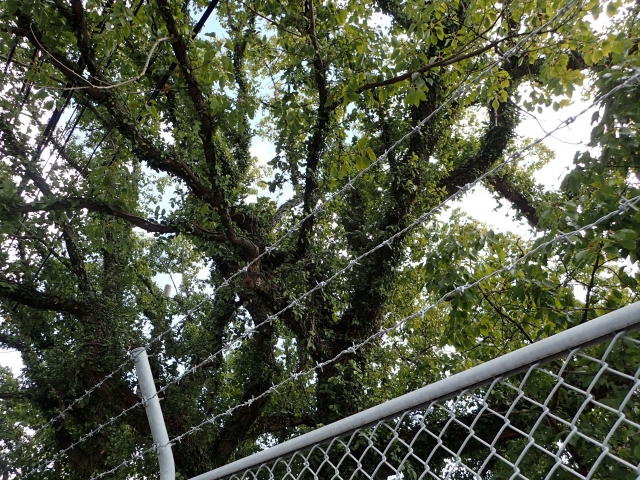 Portal-Japan 日本全国(47都道府県、1790市区町村)の総合ポータルサイト「ポータルジャパン」「ひるなび」「ポータルサイト」「全国版情報ポータルサイト」「hirunabi」 兵庫県