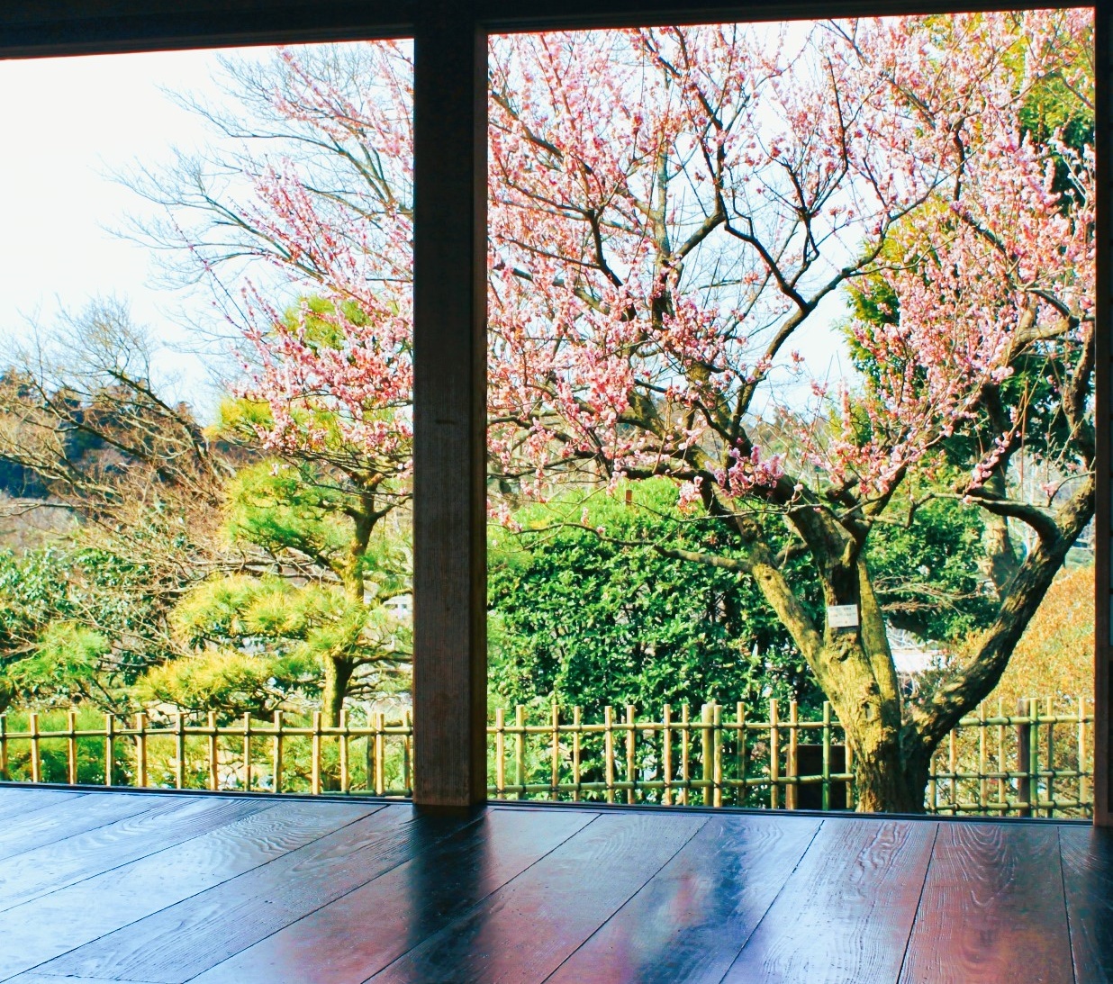 Portal-Japan 日本全国(47都道府県、1790市区町村)の総合ポータルサイト「ポータルジャパン」「ひるなび」「ポータルサイト」「全国版情報ポータルサイト」「hirunabi」 茨城県