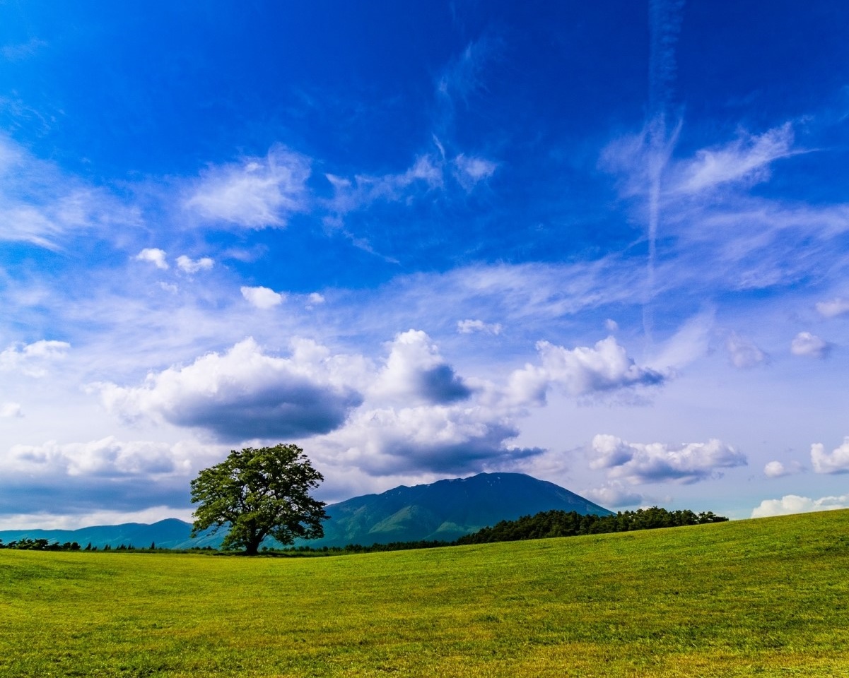 Portal-Japan 日本全国(47都道府県、1790市区町村)の総合ポータルサイト「ポータルジャパン」「ひるなび」「ポータルサイト」「全国版情報ポータルサイト」「hirunabi」 岩手県