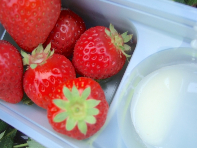 Portal-Japan 日本全国(47都道府県、1790市区町村)の総合ポータルサイト「ポータルジャパン」「ひるなび」「ポータルサイト」「全国版情報ポータルサイト」「hirunabi」 神奈川県横浜市鶴見区