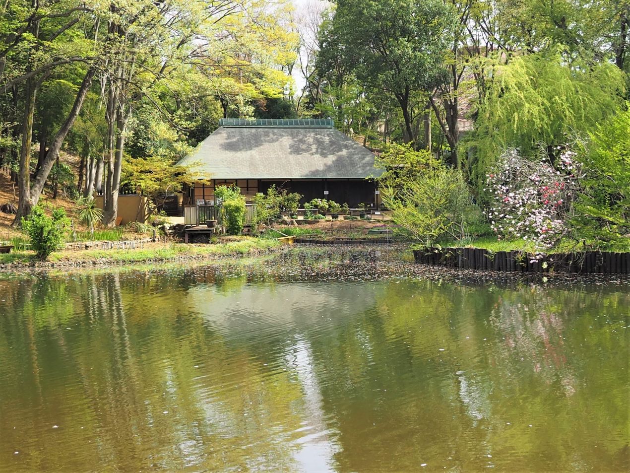 Portal-Japan 日本全国(47都道府県、1790市区町村)の総合ポータルサイト「ポータルジャパン」「ひるなび」「ポータルサイト」「全国版情報ポータルサイト」「hirunabi」 神奈川県横浜市都筑区