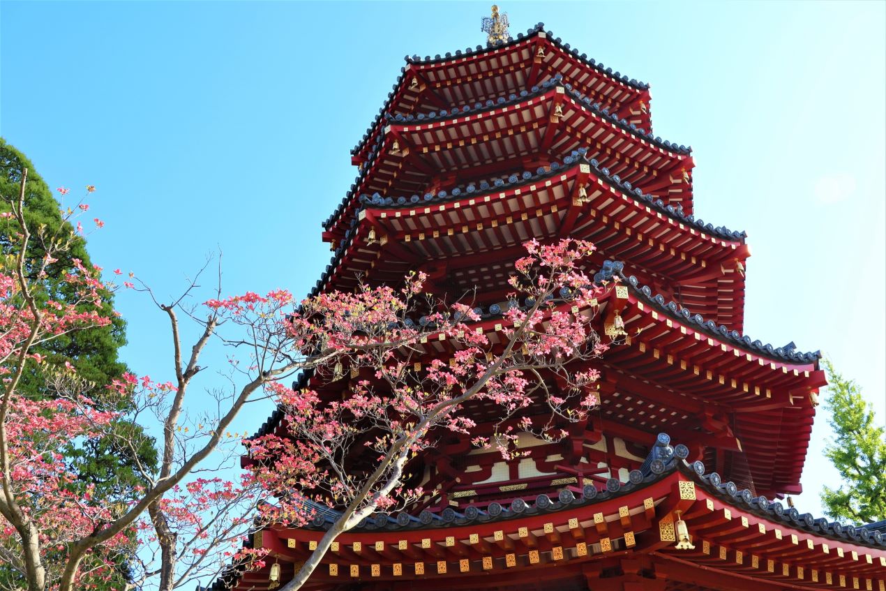 Portal-Japan 日本全国(47都道府県、1790市区町村)の総合ポータルサイト「ポータルジャパン」「ひるなび」「ポータルサイト」「全国版情報ポータルサイト」「hirunabi」 神奈川県川崎市