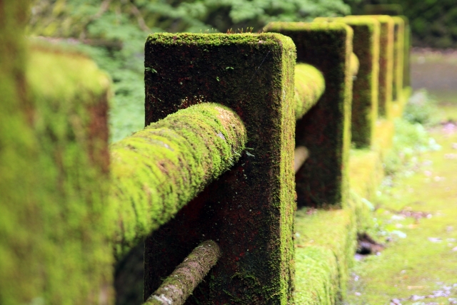 Portal-Japan 日本全国(47都道府県、1790市区町村)の総合ポータルサイト「ポータルジャパン」「ひるなび」「ポータルサイト」「全国版情報ポータルサイト」「hirunabi」 神奈川県川崎市中原区