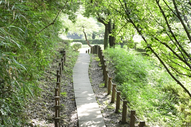 Portal-Japan 日本全国(47都道府県、1790市区町村)の総合ポータルサイト「ポータルジャパン」「ひるなび」「ポータルサイト」「全国版情報ポータルサイト」「hirunabi」 神奈川県川崎市麻生区