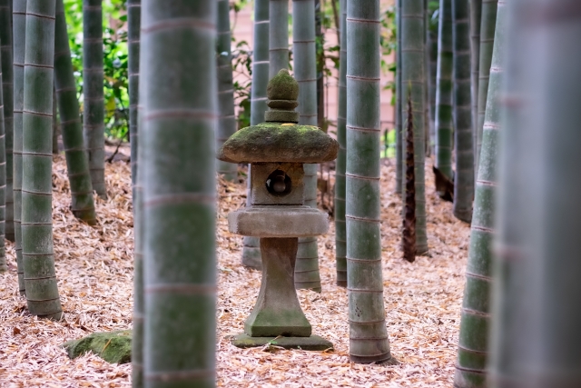 Portal-Japan 日本全国(47都道府県、1790市区町村)の総合ポータルサイト「ポータルジャパン」「ひるなび」「ポータルサイト」「全国版情報ポータルサイト」「hirunabi」 神奈川県鎌倉市