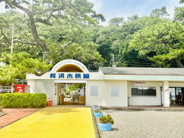 Portal-Japan 日本全国(47都道府県、1790市区町村)の総合ポータルサイト「ポータルジャパン」「ひるなび」「ポータルサイト」「全国版情報ポータルサイト」「hirunabi」 高知県