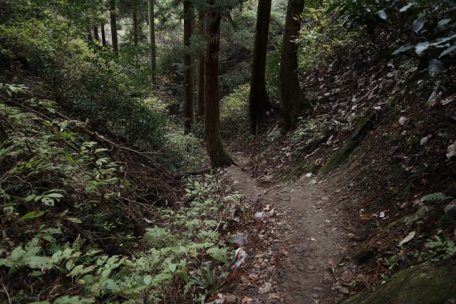 Portal-Japan 日本全国(47都道府県、1790市区町村)の総合ポータルサイト「ポータルジャパン」「ひるなび」「ポータルサイト」「全国版情報ポータルサイト」「hirunabi」 高知県