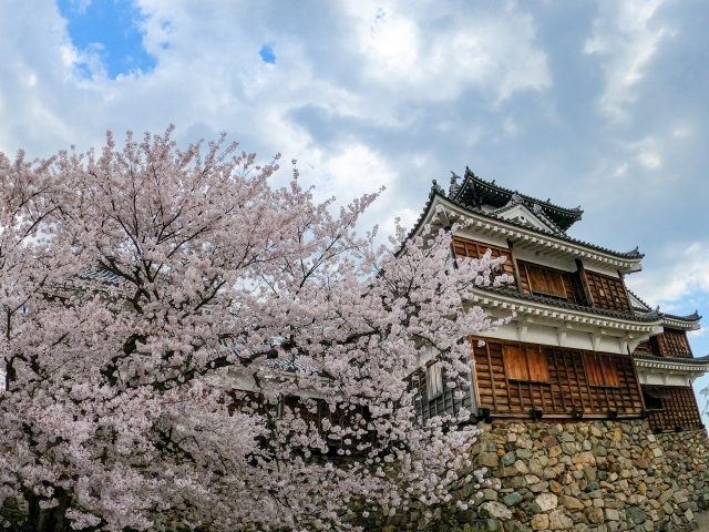 Portal-Japan 日本全国(47都道府県、1790市区町村)の総合ポータルサイト「ポータルジャパン」「ひるなび」「ポータルサイト」「全国版情報ポータルサイト」「hirunabi」 京都府