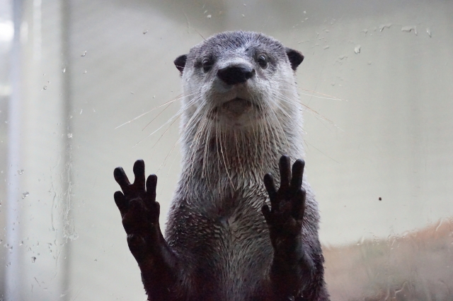 Portal-Japan 日本全国(47都道府県、1790市区町村)の総合ポータルサイト「ポータルジャパン」「ひるなび」「ポータルサイト」「全国版情報ポータルサイト」「hirunabi」 宮城県仙台市