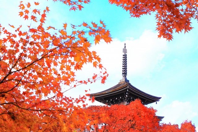 Portal-Japan 日本全国(47都道府県、1790市区町村)の総合ポータルサイト「ポータルジャパン」「ひるなび」「ポータルサイト」「全国版情報ポータルサイト」「hirunabi」 宮城県仙台市青葉区