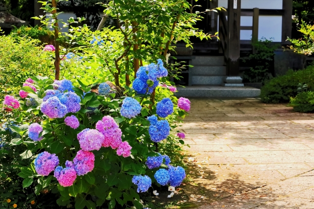 Portal-Japan 日本全国(47都道府県、1790市区町村)の総合ポータルサイト「ポータルジャパン」「ひるなび」「ポータルサイト」「全国版情報ポータルサイト」「hirunabi」 宮城県仙台市青葉区