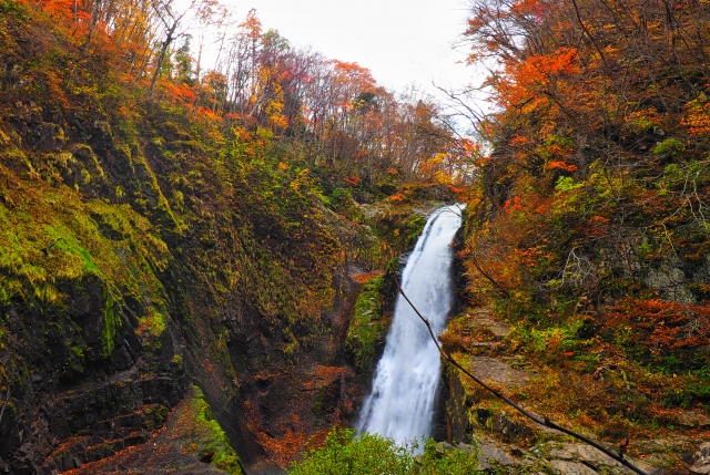 Portal-Japan 日本全国(47都道府県、1790市区町村)の総合ポータルサイト「ポータルジャパン」「ひるなび」「ポータルサイト」「全国版情報ポータルサイト」「hirunabi」 宮城県仙台市太白区