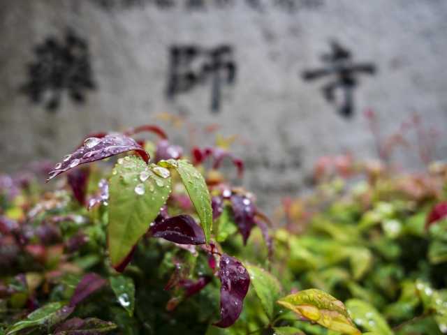 Portal-Japan 日本全国(47都道府県、1790市区町村)の総合ポータルサイト「ポータルジャパン」「ひるなび」「ポータルサイト」「全国版情報ポータルサイト」「hirunabi」 宮崎県