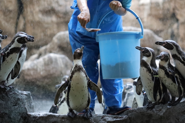 Portal-Japan 日本全国(47都道府県、1790市区町村)の総合ポータルサイト「ポータルジャパン」「ひるなび」「ポータルサイト」「全国版情報ポータルサイト」「hirunabi」 長崎県