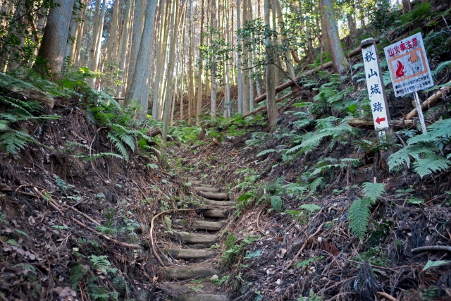 Portal-Japan 日本全国(47都道府県、1790市区町村)の総合ポータルサイト「ポータルジャパン」「ひるなび」「ポータルサイト」「全国版情報ポータルサイト」「hirunabi」 奈良県