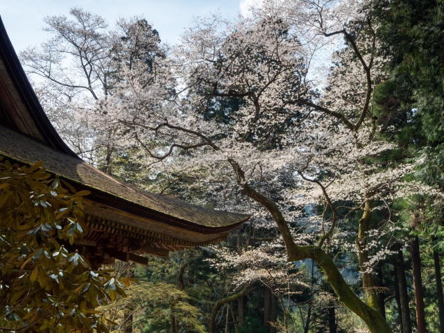 Portal-Japan 日本全国(47都道府県、1790市区町村)の総合ポータルサイト「ポータルジャパン」「ひるなび」「ポータルサイト」「全国版情報ポータルサイト」「hirunabi」 奈良県宇陀市