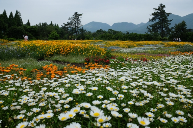 Portal-Japan 日本全国(47都道府県、1790市区町村)の総合ポータルサイト「ポータルジャパン」「ひるなび」「ポータルサイト」「全国版情報ポータルサイト」「hirunabi」 大分県
