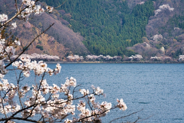 Portal-Japan 日本全国(47都道府県、1790市区町村)の総合ポータルサイト「ポータルジャパン」「ひるなび」「ポータルサイト」「全国版情報ポータルサイト」「hirunabi」 滋賀県