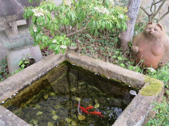 Portal-Japan 日本全国(47都道府県、1790市区町村)の総合ポータルサイト「ポータルジャパン」「ひるなび」「ポータルサイト」「全国版情報ポータルサイト」「hirunabi」 滋賀県