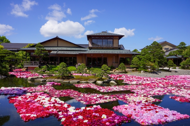Portal-Japan 日本全国(47都道府県、1790市区町村)の総合ポータルサイト「ポータルジャパン」「ひるなび」「ポータルサイト」「全国版情報ポータルサイト」「hirunabi」 島根県松江市