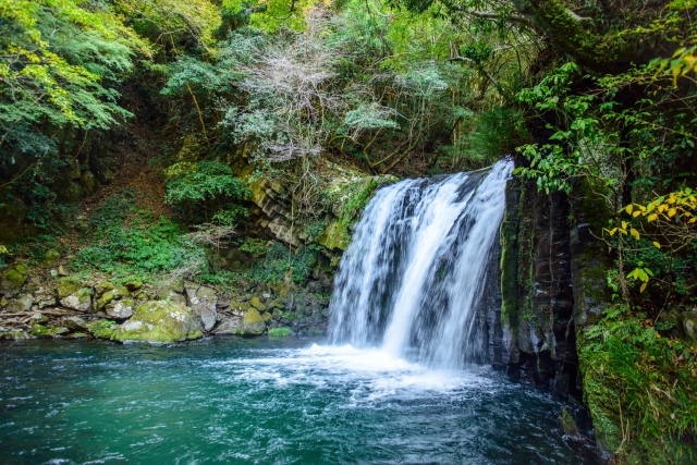 Portal-Japan 日本全国(47都道府県、1790市区町村)の総合ポータルサイト「ポータルジャパン」「ひるなび」「ポータルサイト」「全国版情報ポータルサイト」「hirunabi」 静岡県