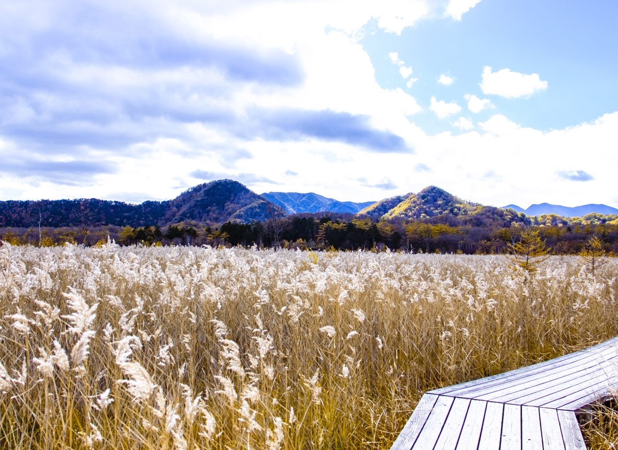 Portal-Japan 日本全国(47都道府県、1790市区町村)の総合ポータルサイト「ポータルジャパン」「ひるなび」「ポータルサイト」「全国版情報ポータルサイト」「hirunabi」 栃木県