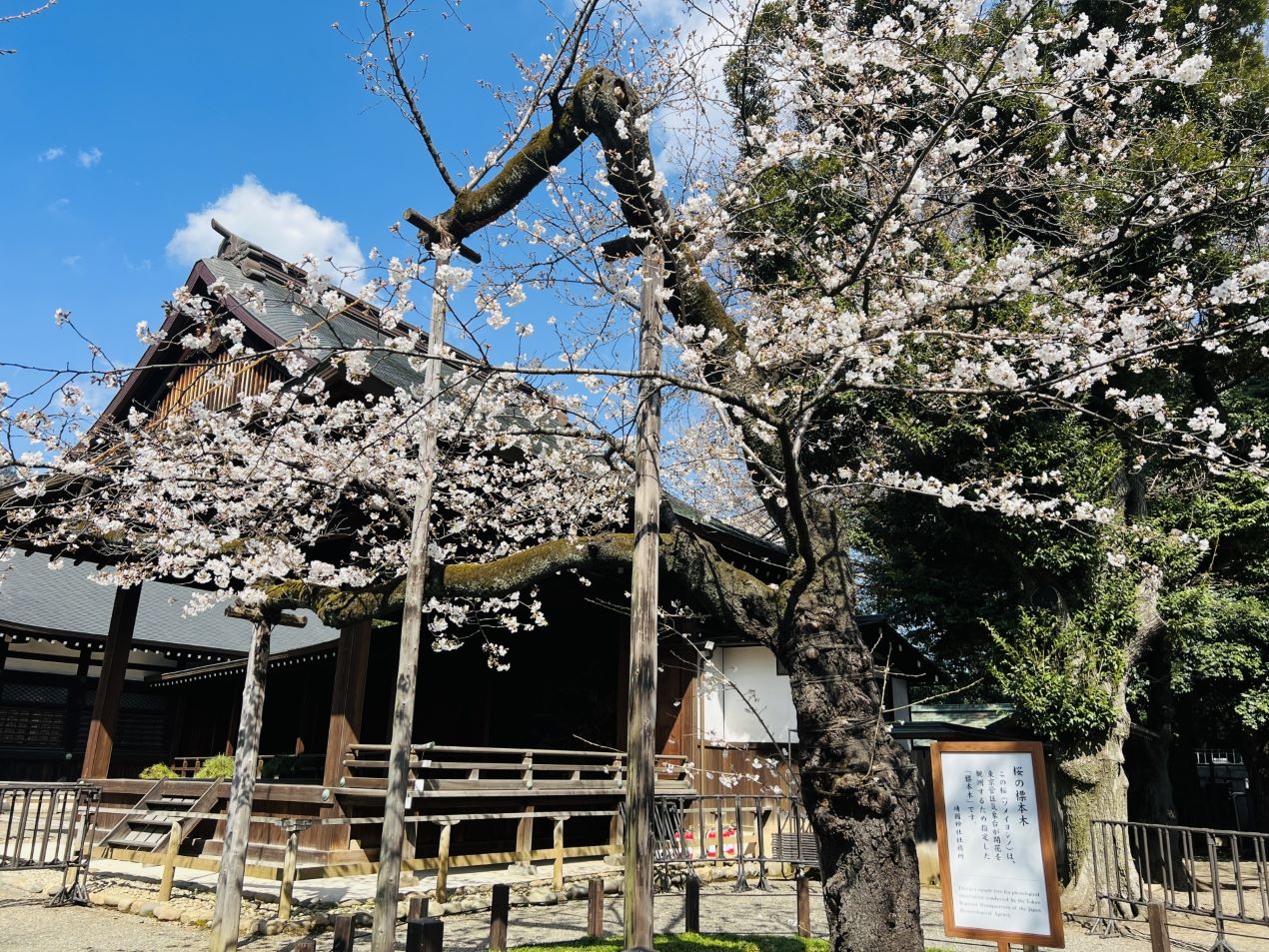 Portal-Japan 日本全国(47都道府県、1790市区町村)の総合ポータルサイト「ポータルジャパン」「ひるなび」「ポータルサイト」「全国版情報ポータルサイト」「hirunabi」 東京都千代田区