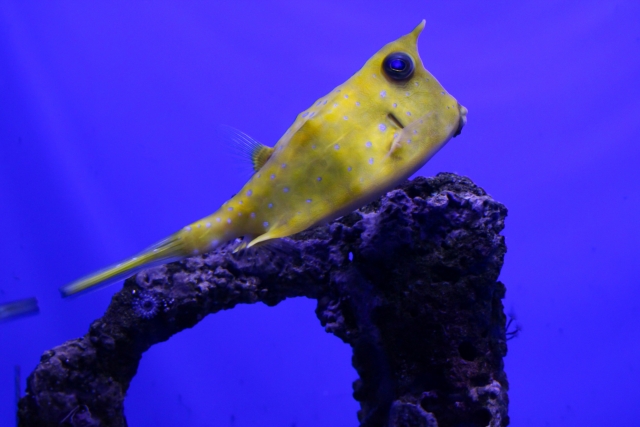 Portal-Japan 日本全国(47都道府県、1790市区町村)の総合ポータルサイト「ポータルジャパン」「ひるなび」「ポータルサイト」「全国版情報ポータルサイト」「hirunabi」 東京都港区