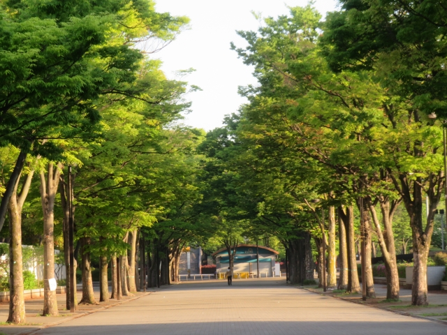 Portal-Japan 日本全国(47都道府県、1790市区町村)の総合ポータルサイト「ポータルジャパン」「ひるなび」「ポータルサイト」「全国版情報ポータルサイト」「hirunabi」 東京都渋谷区