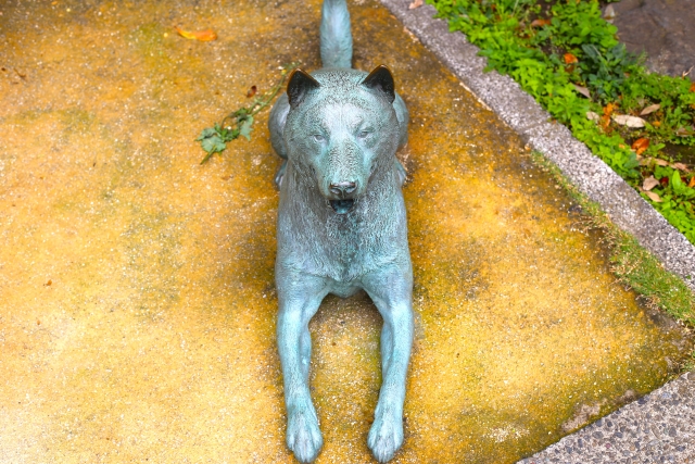 Portal-Japan 日本全国(47都道府県、1790市区町村)の総合ポータルサイト「ポータルジャパン」「ひるなび」「ポータルサイト」「全国版情報ポータルサイト」「hirunabi」 東京都中野区