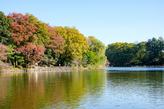 Portal-Japan 日本全国(47都道府県、1790市区町村)の総合ポータルサイト「ポータルジャパン」「ひるなび」「ポータルサイト」「全国版情報ポータルサイト」「hirunabi」 東京都杉並区