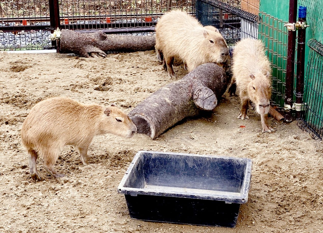 Portal-Japan 日本全国(47都道府県、1790市区町村)の総合ポータルサイト「ポータルジャパン」「ひるなび」「ポータルサイト」「全国版情報ポータルサイト」「hirunabi」 東京都荒川区