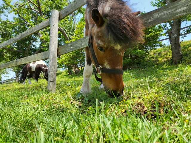 Portal-Japan 日本全国(47都道府県、1790市区町村)の総合ポータルサイト「ポータルジャパン」「ひるなび」「ポータルサイト」「全国版情報ポータルサイト」「hirunabi」 東京都板橋区