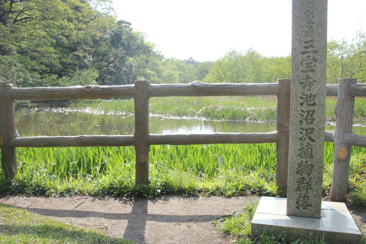 Portal-Japan 日本全国(47都道府県、1790市区町村)の総合ポータルサイト「ポータルジャパン」「ひるなび」「ポータルサイト」「全国版情報ポータルサイト」「hirunabi」 東京都練馬区