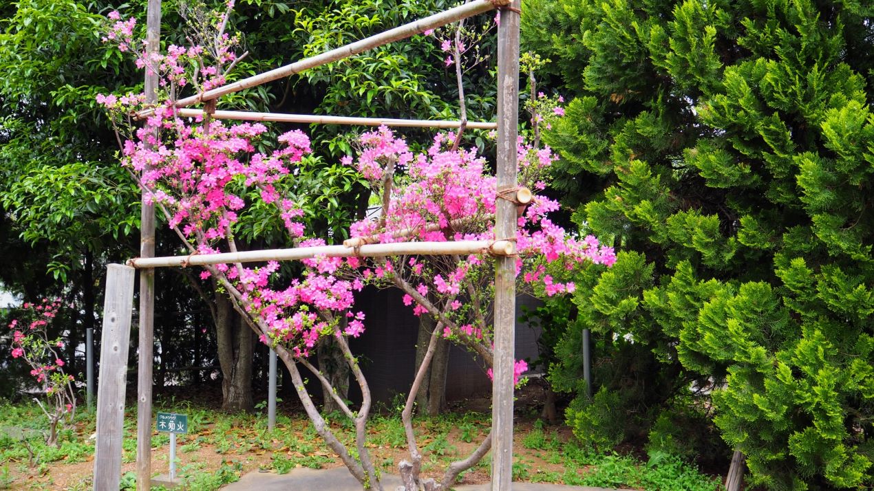 Portal-Japan 日本全国(47都道府県、1790市区町村)の総合ポータルサイト「ポータルジャパン」「ひるなび」「ポータルサイト」「全国版情報ポータルサイト」「hirunabi」 東京都練馬区