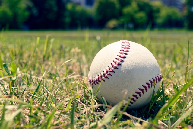 Portal-Japan 日本全国(47都道府県、1790市区町村)の総合ポータルサイト「ポータルジャパン」「ひるなび」「ポータルサイト」「全国版情報ポータルサイト」「hirunabi」 東京都