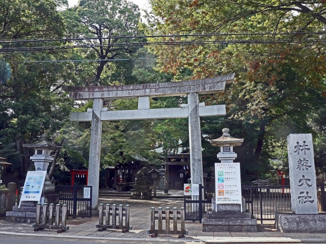 Portal-Japan 日本全国(47都道府県、1790市区町村)の総合ポータルサイト「ポータルジャパン」「ひるなび」「ポータルサイト」「全国版情報ポータルサイト」「hirunabi」 東京都武蔵野市