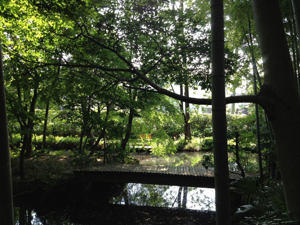 Portal-Japan 日本全国(47都道府県、1790市区町村)の総合ポータルサイト「ポータルジャパン」「ひるなび」「ポータルサイト」「全国版情報ポータルサイト」「hirunabi」 東京都調布市