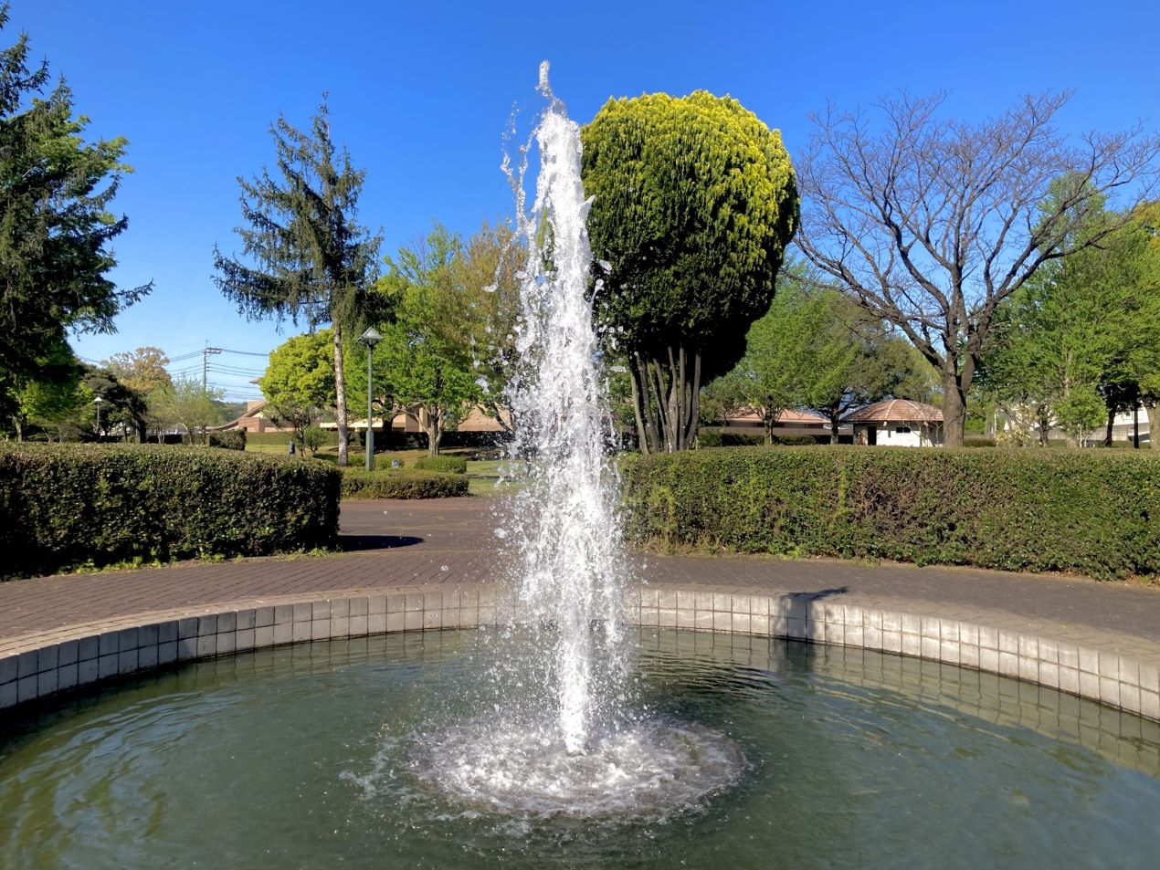 Portal-Japan 日本全国(47都道府県、1790市区町村)の総合ポータルサイト「ポータルジャパン」「ひるなび」「ポータルサイト」「全国版情報ポータルサイト」「hirunabi」 東京都小平市