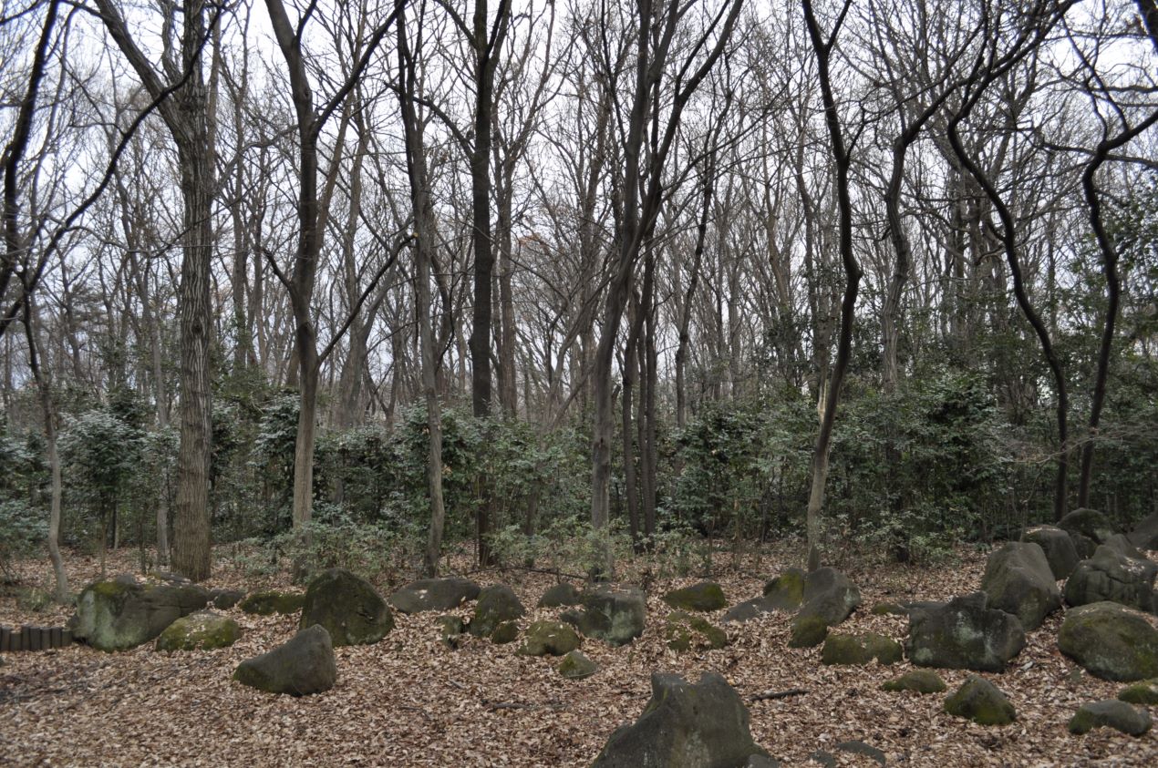 Portal-Japan 日本全国(47都道府県、1790市区町村)の総合ポータルサイト「ポータルジャパン」「ひるなび」「ポータルサイト」「全国版情報ポータルサイト」「hirunabi」 東京都東村山市