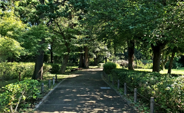 Portal-Japan 日本全国(47都道府県、1790市区町村)の総合ポータルサイト「ポータルジャパン」「ひるなび」「ポータルサイト」「全国版情報ポータルサイト」「hirunabi」 東京都国分寺市