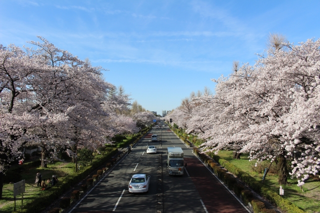 Portal-Japan 日本全国(47都道府県、1790市区町村)の総合ポータルサイト「ポータルジャパン」「ひるなび」「ポータルサイト」「全国版情報ポータルサイト」「hirunabi」 東京都国立市