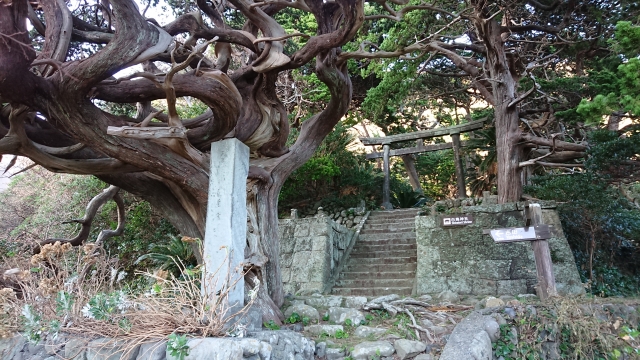 Portal-Japan 日本全国(47都道府県、1790市区町村)の総合ポータルサイト「ポータルジャパン」「ひるなび」「ポータルサイト」「全国版情報ポータルサイト」「hirunabi」 東京都狛江市