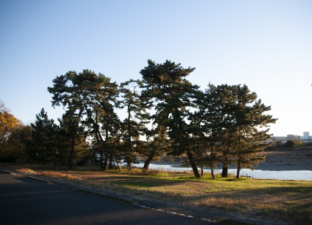 Portal-Japan 日本全国(47都道府県、1790市区町村)の総合ポータルサイト「ポータルジャパン」「ひるなび」「ポータルサイト」「全国版情報ポータルサイト」「hirunabi」 東京都狛江市