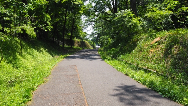 Portal-Japan 日本全国(47都道府県、1790市区町村)の総合ポータルサイト「ポータルジャパン」「ひるなび」「ポータルサイト」「全国版情報ポータルサイト」「hirunabi」 東京都東大和市