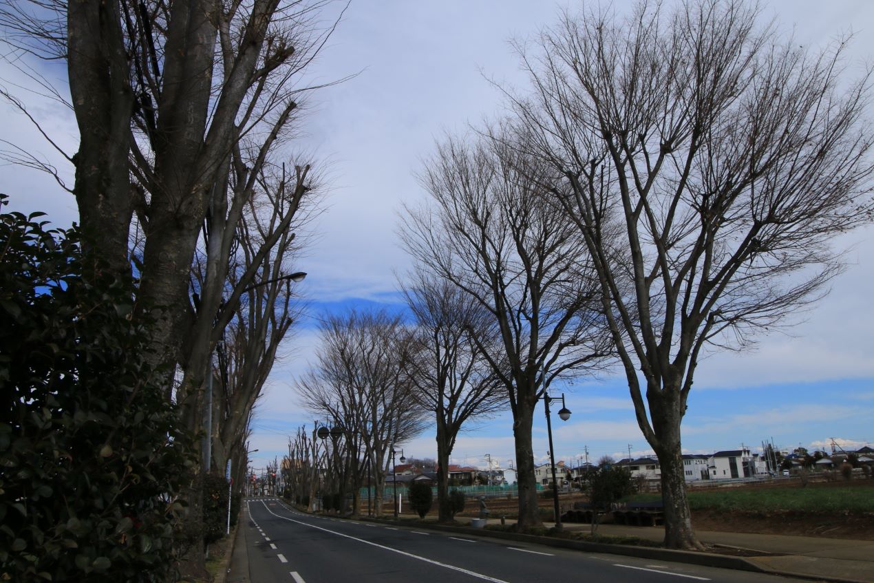 Portal-Japan 日本全国(47都道府県、1790市区町村)の総合ポータルサイト「ポータルジャパン」「ひるなび」「ポータルサイト」「全国版情報ポータルサイト」「hirunabi」 東京都清瀬市