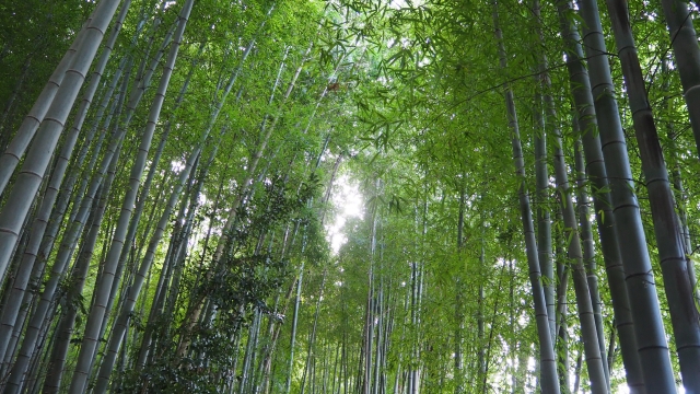 Portal-Japan 日本全国(47都道府県、1790市区町村)の総合ポータルサイト「ポータルジャパン」「ひるなび」「ポータルサイト」「全国版情報ポータルサイト」「hirunabi」 東京都東久留米市